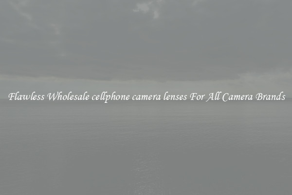 Flawless Wholesale cellphone camera lenses For All Camera Brands