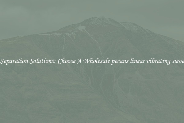 Separation Solutions: Choose A Wholesale pecans linear vibrating sieve