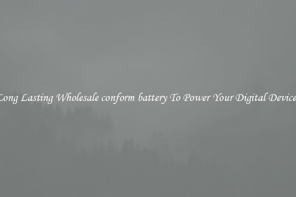 Long Lasting Wholesale conform battery To Power Your Digital Devices