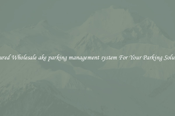 Featured Wholesale ake parking management system For Your Parking Solutions 