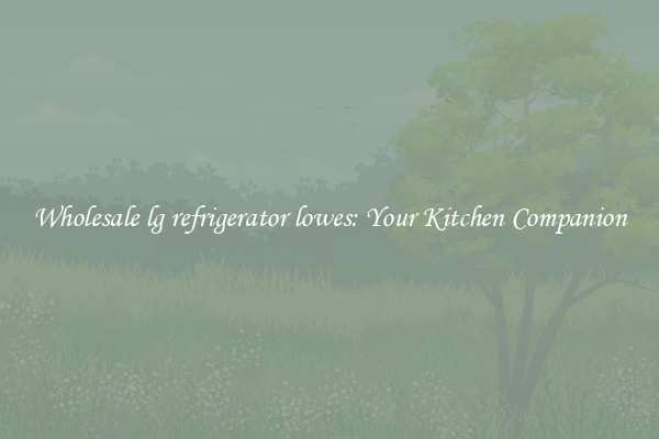 Wholesale lg refrigerator lowes: Your Kitchen Companion