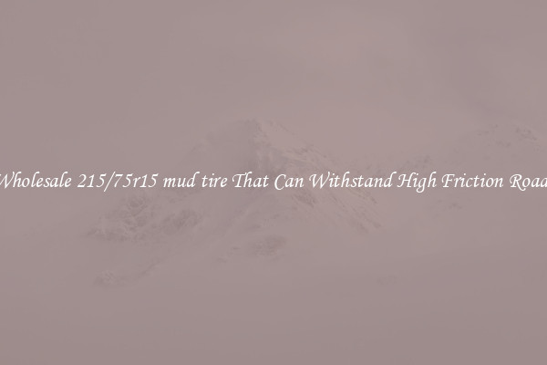 Wholesale 215/75r15 mud tire That Can Withstand High Friction Roads