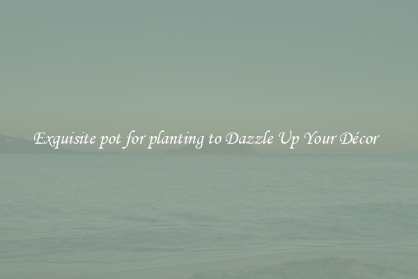 Exquisite pot for planting to Dazzle Up Your Décor  