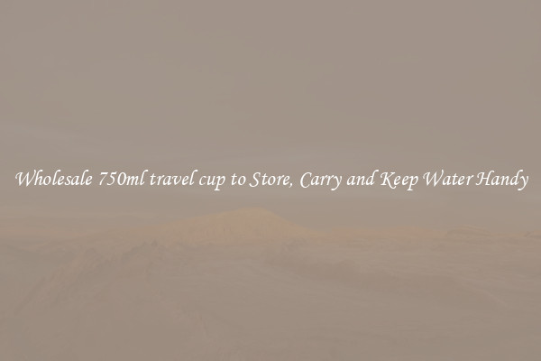 Wholesale 750ml travel cup to Store, Carry and Keep Water Handy