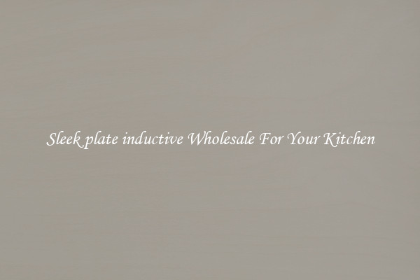 Sleek plate inductive Wholesale For Your Kitchen