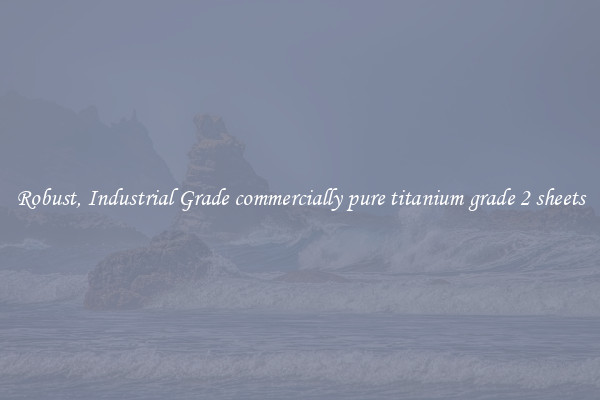 Robust, Industrial Grade commercially pure titanium grade 2 sheets