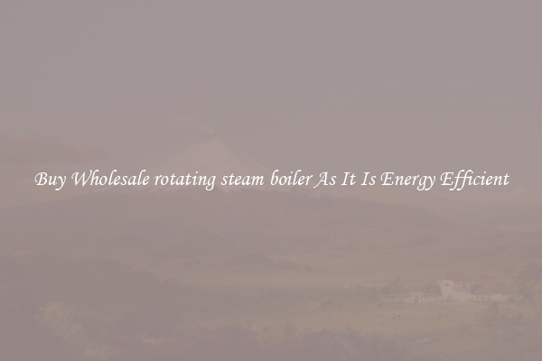 Buy Wholesale rotating steam boiler As It Is Energy Efficient