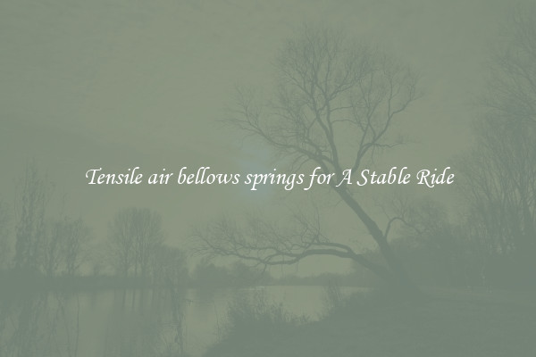 Tensile air bellows springs for A Stable Ride