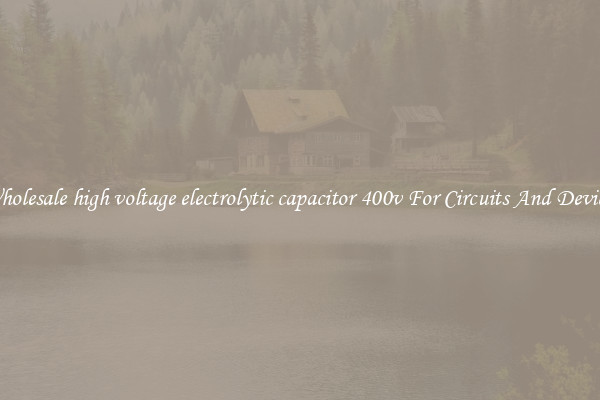 Wholesale high voltage electrolytic capacitor 400v For Circuits And Devices