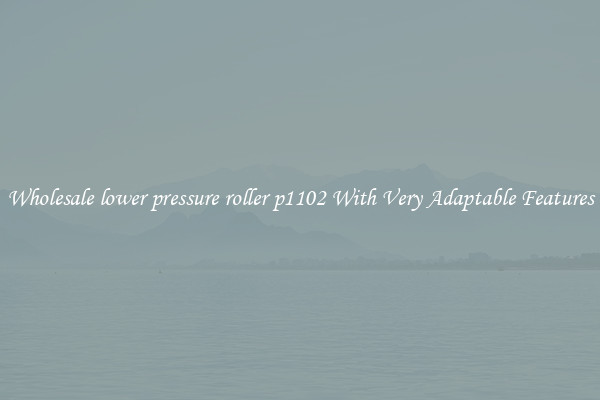 Wholesale lower pressure roller p1102 With Very Adaptable Features