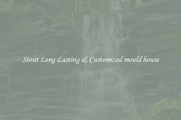 Stout Long-Lasting & Customized mould house