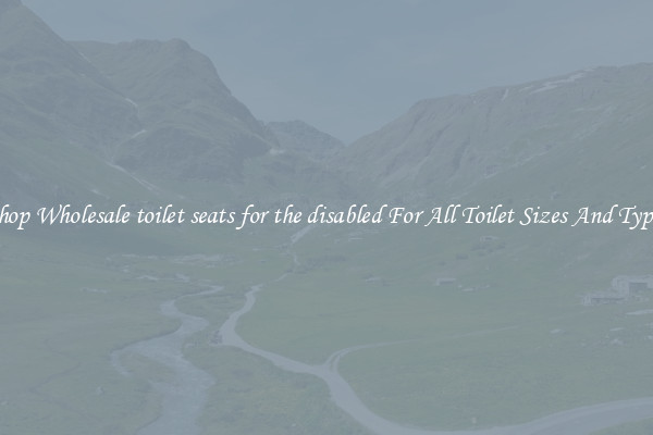 Shop Wholesale toilet seats for the disabled For All Toilet Sizes And Types