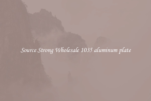 Source Strong Wholesale 1035 aluminum plate
