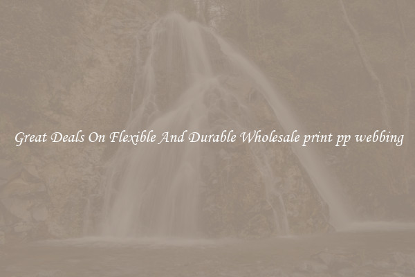 Great Deals On Flexible And Durable Wholesale print pp webbing