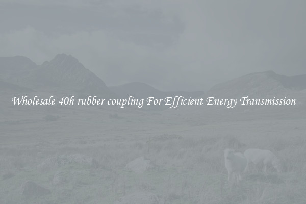 Wholesale 40h rubber coupling For Efficient Energy Transmission