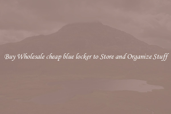 Buy Wholesale cheap blue locker to Store and Organize Stuff