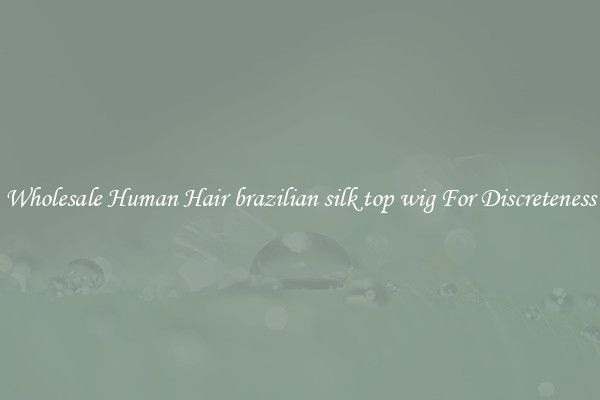 Wholesale Human Hair brazilian silk top wig For Discreteness