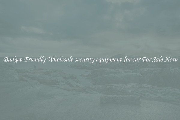 Budget-Friendly Wholesale security equipment for car For Sale Now