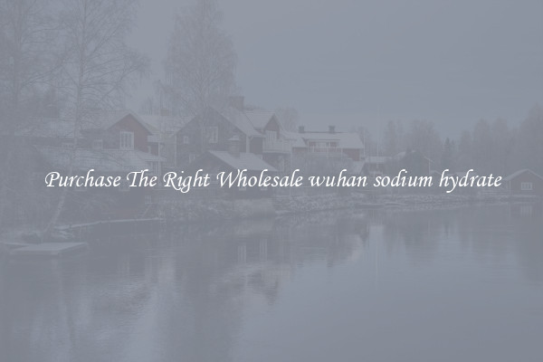 Purchase The Right Wholesale wuhan sodium hydrate