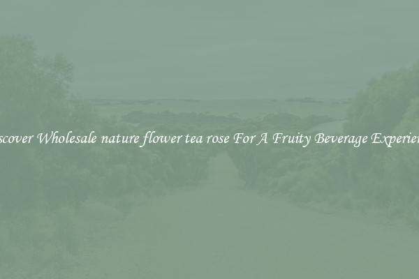 Discover Wholesale nature flower tea rose For A Fruity Beverage Experience 